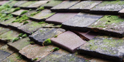 East Winney roof repair costs